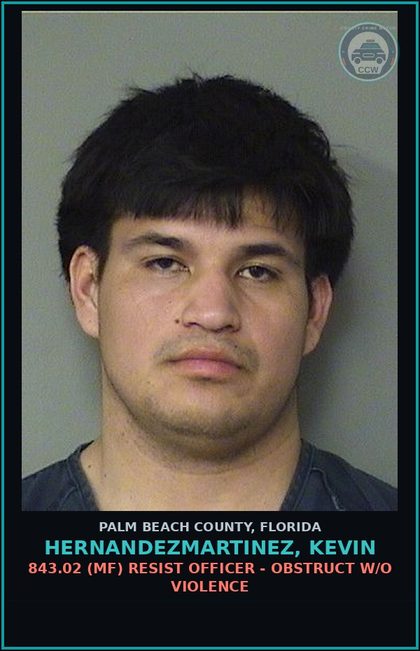 CCW arrest card for HERNANDEZMARTINEZ, KEVIN in Palm Beach County: 316.061 1 (MS) HIT AND RUN - LEAVE SCENE OF CRASH INVOLVE DAMAGE TO PROP