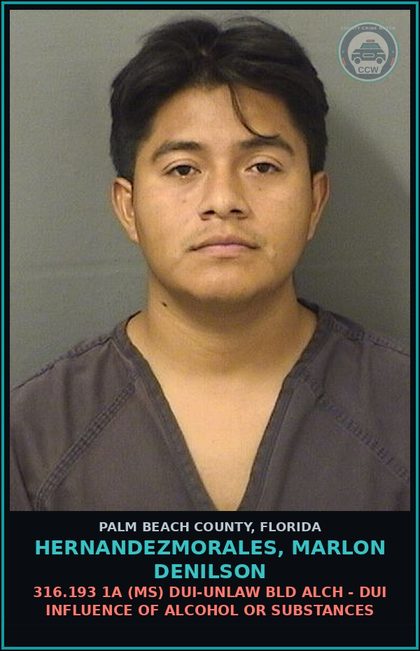 CCW arrest card for HERNANDEZMORALES, MARLON DENILSON in Palm Beach County: 316.193 1A (MS) DUI-UNLAW BLD ALCH - DUI INFLUENCE OF ALCOHOL OR DRUGS