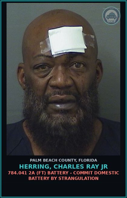 CCW arrest card for HERRING, CHARLES RAY Jr in Palm Beach County: 784.03 1A2 (MF) BATTERY - CAUSE BODILY HARM
