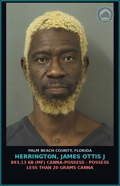 CCW arrest card for HERRINGTON, JAMES OTTIS J in Palm Beach County: 893.13 6B (MF) Canna-POSSESS - POSSESS LESS THAN 20 GRAMS Canna