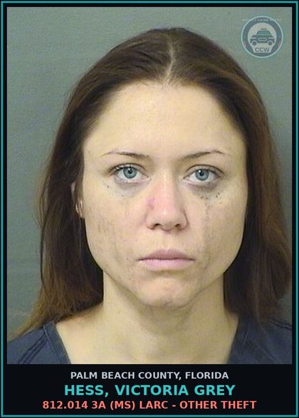 CCW arrest card for HESS, VICTORIA GREY in Palm Beach County: 812.014 3A (MS) LARC - OTHER THEFT