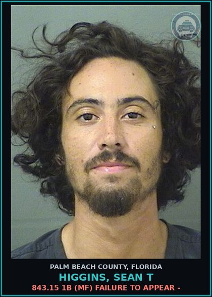 CCW arrest card for HIGGINS, SEAN T in Palm Beach County: 843.15 1B (MF) FAILURE TO APPEAR -