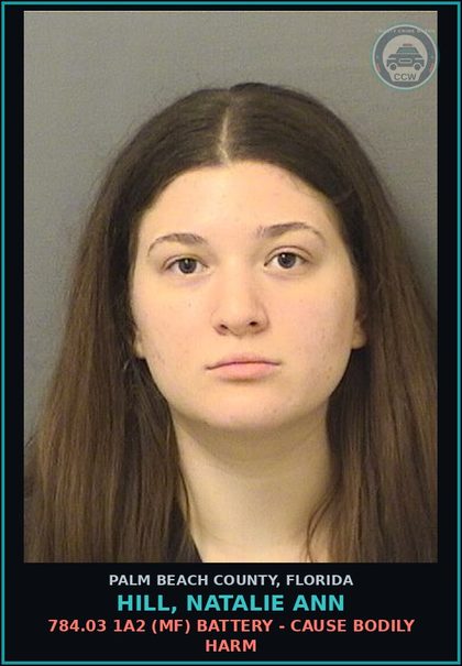 CCW arrest card for HILL, NATALIE ANN in Palm Beach County, Florida: 784.03 1A2 (MF) BATTERY - CAUSE BODILY HARM