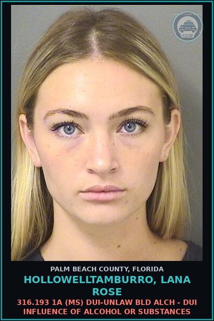 CCW arrest card for HOLLOWELLTAMBURRO, LANA ROSE in Palm Beach County: 893.13 6A (FT) DRUGS-POSSESS - POSSESS contr substance W/O PRESCRIPTION