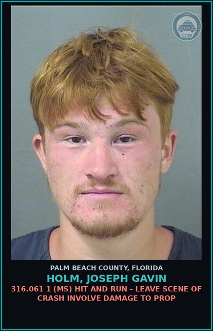 CCW arrest card for HOLM, JOSEPH GAVIN in Palm Beach County: 316.061 1 (MS) HIT AND RUN - LEAVE SCENE OF CRASH INVOLVE DAMAGE TO PROP