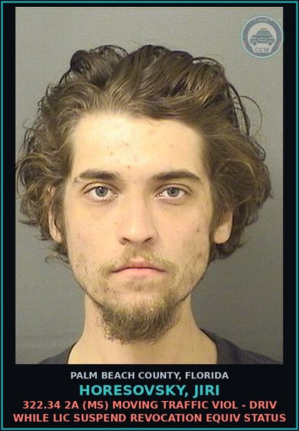 CCW arrest card for HORESOVSKY, JIRI in Palm Beach County: 322.34 2A (MS) MOVING TRAFFIC VIOL - DRIV WHILE LIC SUSPEND REVOCATION EQUIV STATUS