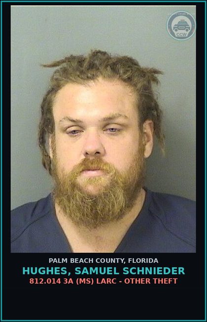 CCW arrest card for HUGHES, SAMUEL SCHNIEDER in Palm Beach County: 812.014 3A (MS) LARC - OTHER THEFT