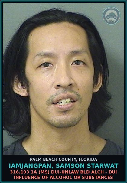 CCW arrest card for IAMJANGPAN, SAMSON STARWAT in Palm Beach County: 316.193 1A (MS) DUI-UNLAW BLD ALCH - DUI INFLUENCE OF ALCOHOL OR DRUGS
