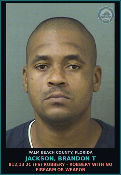 CCW arrest card for JACKSON, BRANDON T in Palm Beach County: 812.13 2C (FS) ROBBERY - ROBBERY WITH NO FIREARM OR WEAPON