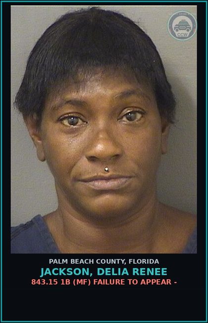 CCW arrest card for JACKSON, DELIA RENEE in Palm Beach County: 843.15 1B (MF) FAILURE TO APPEAR -