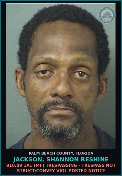CCW arrest card for JACKSON, SHANNON RESHINE in Palm Beach County: 810.09 1A1 (MF) TRESPASSING - TRESPASS NOT STRUCT/CONVEY VIOL POSTED NOTICE