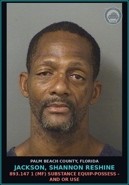 CCW arrest card for JACKSON, SHANNON RESHINE in Palm Beach County: 810.08 1 (MS) TRESPASSING - TRESPASSING STRUCTURE OR CONVEYANCE