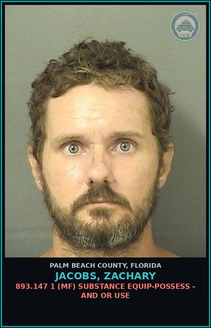 CCW arrest card for JACOBS, ZACHARY in Palm Beach County: 322.34 2A (MS) MOVING TRAFFIC VIOL - DRIV WHILE LIC SUSPEND REVOCATION EQUIV STATUS