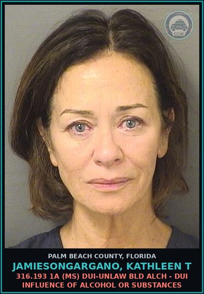 CCW arrest card for JAMIESONGARGANO, KATHLEEN T in Palm Beach County: 316.193 1A (MS) DUI-UNLAW BLD ALCH - DUI INFLUENCE OF ALCOHOL OR DRUGS