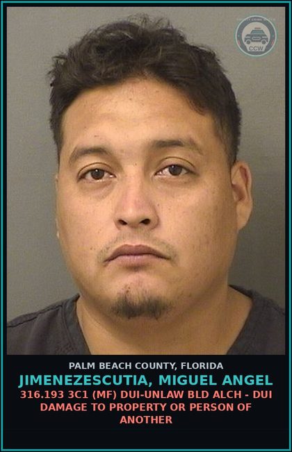 CCW arrest card for JIMENEZESCUTIA, MIGUEL ANGEL in Palm Beach County: 316.193 3C1 (MF) DUI-UNLAW BLD ALCH - DUI DAMAGE TO PROPERTY OR PERSON OF ANOTHER