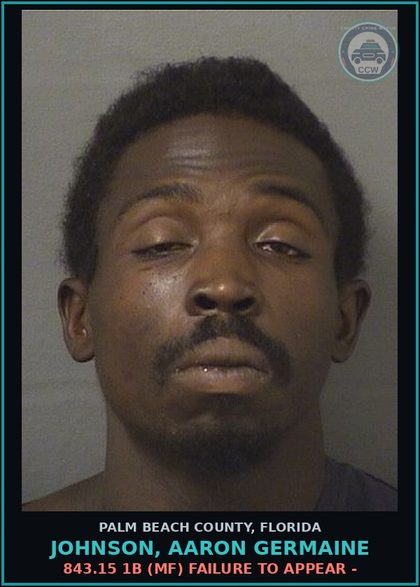 CCW arrest card for JOHNSON, AARON GERMAINE in Palm Beach County: 843.15 1B (MF) FAILURE TO APPEAR -
