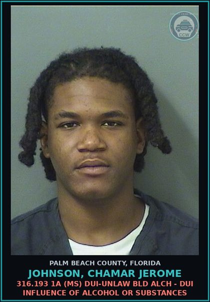 CCW arrest card for JOHNSON, CHAMAR JEROME in Palm Beach County: 316.193 1A (MS) DUI-UNLAW BLD ALCH - DUI INFLUENCE OF ALCOHOL OR DRUGS