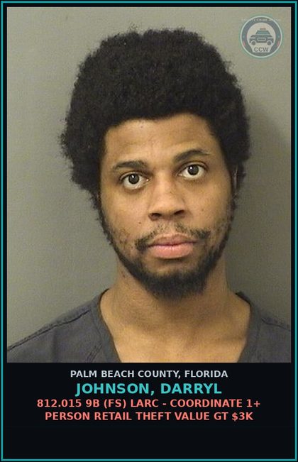 CCW arrest card for JOHNSON, DARRYL in Palm Beach County: 812.015 9B (FS) LARC - COORDINATE 1+ PERSON RETAIL THEFT VALUE GT $3K