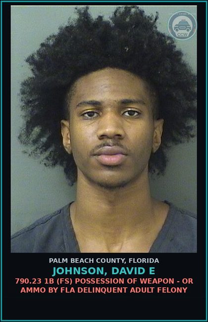 CCW arrest card for JOHNSON, DAVID E in Palm Beach County: 790.23 1B (FS) POSSESSION OF WEAPON - OR AMMO BY FLA DELINQUENT ADULT FELONY