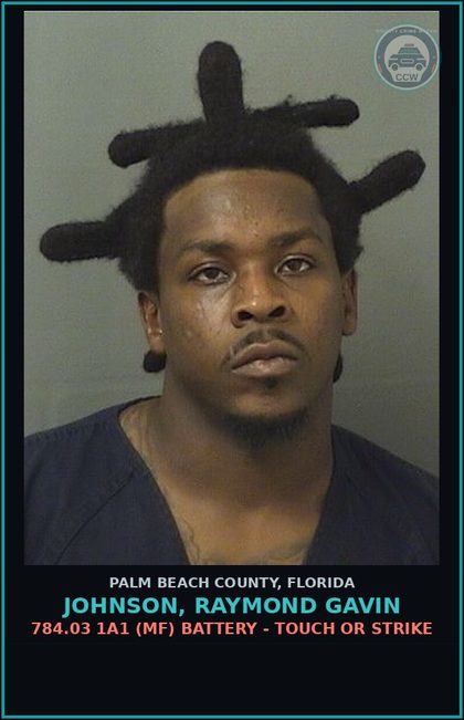 CCW arrest card for JOHNSON, RAYMOND GAVIN in Palm Beach County: 784.03 1A1 (MF) BATTERY - TOUCH OR STRIKE