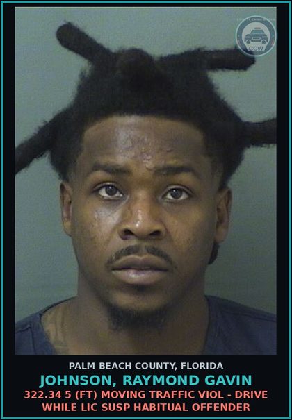 CCW arrest card for JOHNSON, RAYMOND GAVIN in Palm Beach County: 322.34 5 (FT) MOVING TRAFFIC VIOL - DRIVE WHILE LIC SUSP HABITUAL OFFENDER
