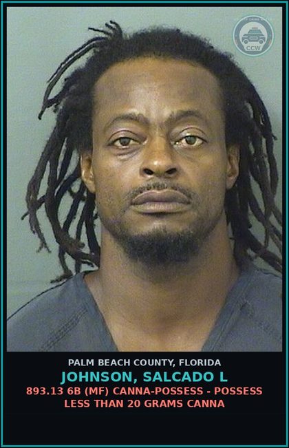 CCW arrest card for JOHNSON, SALCADO L in Palm Beach County: 893.13 6B (MF) Canna-POSSESS - POSSESS LESS THAN 20 GRAMS Canna