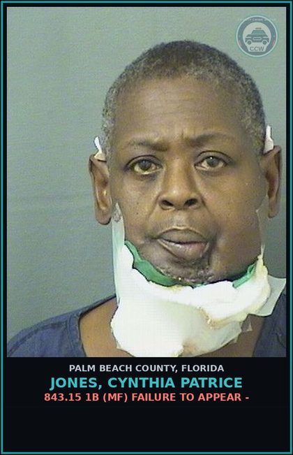 CCW arrest card for JONES, CYNTHIA PATRICE in Palm Beach County: 843.15 1B (MF) FAILURE TO APPEAR -