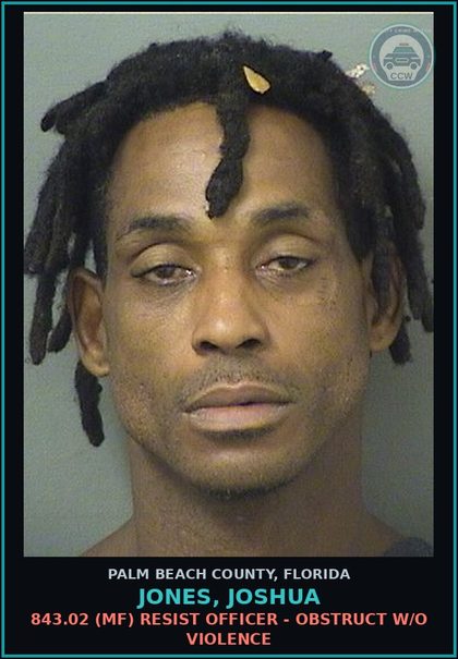 CCW arrest card for JONES, JOSHUA in Palm Beach County: 893.13 1A1 (FS) DRUGS-POSSESS - POSS INTENT SELL/MFG/DEL CTRL SUB SCHEDULE II
