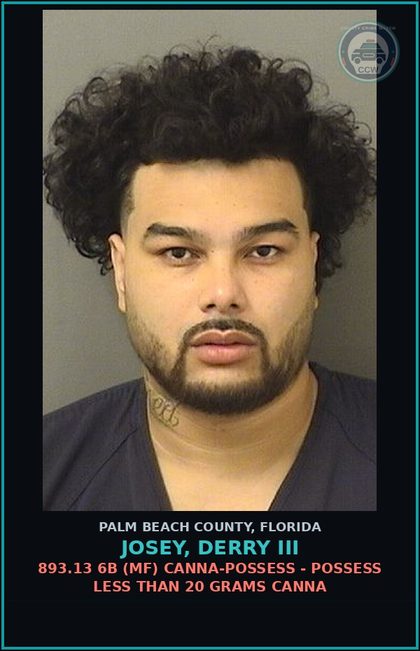 CCW arrest card for JOSEY, DERRY III in Palm Beach County: 893.13 6A (FT) DRUGS-POSSESS - POSSESS contr substance W/O PRESCRIPTION