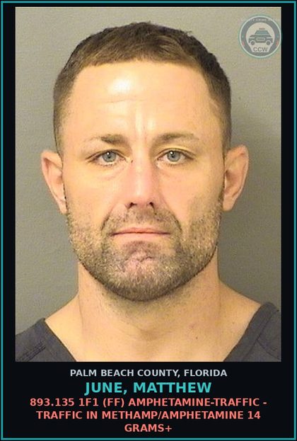 CCW arrest card for JUNE, MATTHEW in Palm Beach County: 893.135 1F1 (FF) AMPHETAMINE-TRAFFIC - TRAFFIC IN METH/AMPHETAMINE 14 GRAMS+