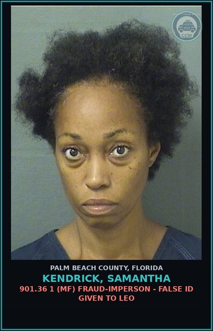 CCW arrest card for KENDRICK, SAMANTHA in Palm Beach County: 800.03 1A (MF) INDECENT EXPOSURE - EXPOSURE OF s3xual ORGANS 1ST OFFENSE