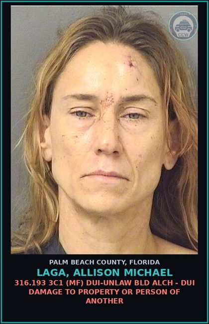 CCW arrest card for LAGA, ALLISON MICHAEL in Palm Beach County: 893.147 1 (MF) DRUG EQUIP-POSSESS - AND OR USE