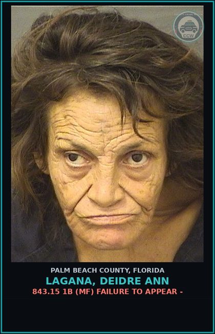 CCW arrest card for LAGANA, DEIDRE ANN in Palm Beach County: 843.15 1B (MF) FAILURE TO APPEAR -