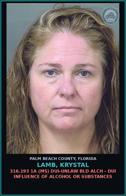 CCW arrest card for LAMB, KRYSTAL in Palm Beach County: 316.193 1A (MS) DUI-UNLAW BLD ALCH - DUI INFLUENCE OF ALCOHOL OR DRUGS