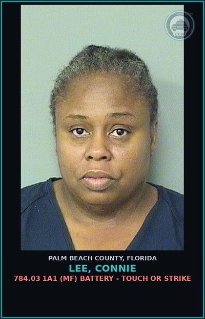 CCW arrest card for LEE, CONNIE in Palm Beach County: 784.03 1A1 (MF) BATTERY - TOUCH OR STRIKE