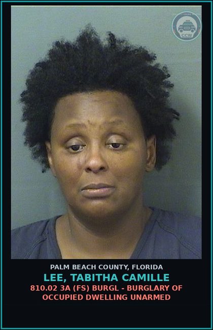 CCW arrest card for LEE, TABITHA CAMILLE in Palm Beach County: 784.03 1A1 (MF) BATTERY - TOUCH OR STRIKE