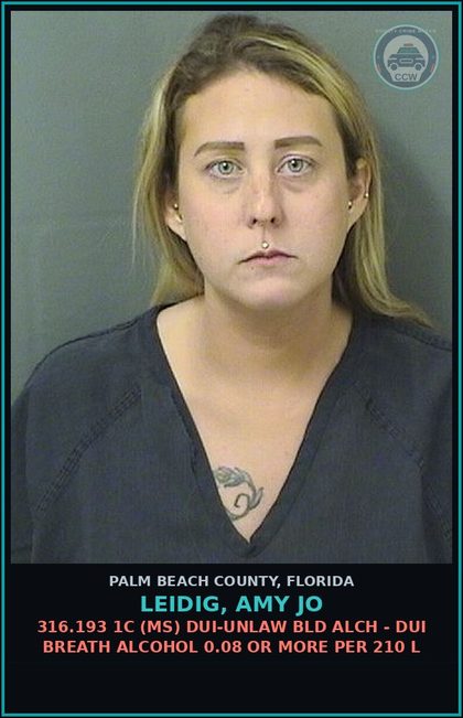 CCW arrest card for LEIDIG, AMY JO in Palm Beach County: 316.193 1C (MS) DUI-UNLAW BLD ALCH - DUI BREATH ALCOHOL 0.08 OR MORE PER 210 L