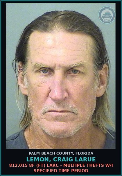CCW arrest card for LEMON, CRAIG LARUE in Palm Beach County: 812.015 8F (FT) LARC - MULTIPLE THEFTS W/I SPECIFIED TIME PERIOD