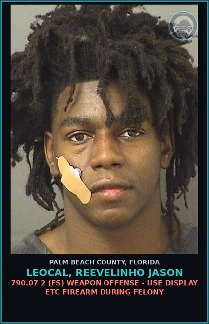 CCW arrest card for LEOCAL, REEVELINHO JASON in Palm Beach County: 316.1935 3A (FS) FLEE/ELUDE POLICE - FLEE ELUDE HIGH SPEED OR DISR SAFETY PERS PROP