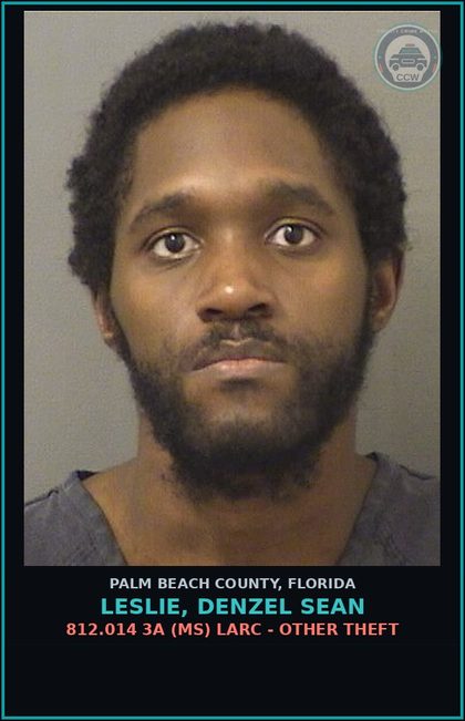 CCW arrest card for LESLIE, DENZEL SEAN in Palm Beach County: 812.014 3A (MS) LARC - OTHER THEFT