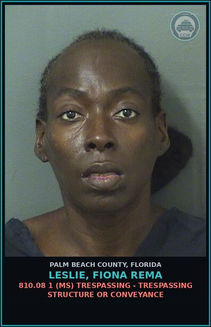 CCW arrest card for LESLIE, FIONA REMA in Palm Beach County: 810.08 1 (MS) TRESPASSING - TRESPASSING STRUCTURE OR CONVEYANCE