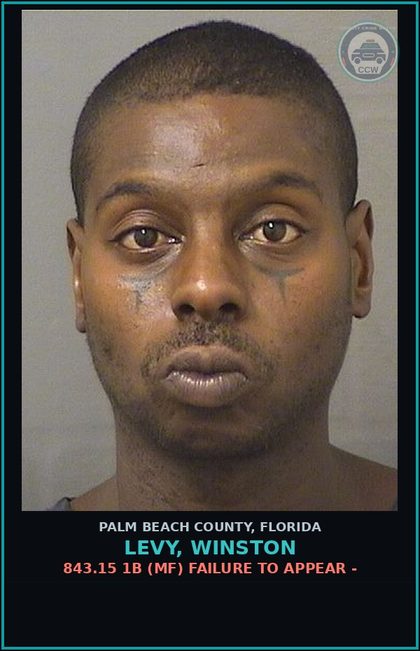 CCW arrest card for LEVY, WINSTON in Palm Beach County: 843.15 1B (MF) FAILURE TO APPEAR -