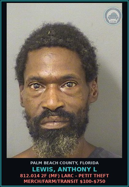 CCW arrest card for LEWIS, ANTHONY L in Palm Beach County: 812.014 2F (MF) LARC - PETIT THEFT MERCH/FARM/TRANSIT $100-$750