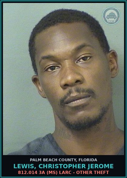 CCW arrest card for LEWIS, CHRISTOPHER JEROME in Palm Beach County: 812.014 3A (MS) LARC - OTHER THEFT