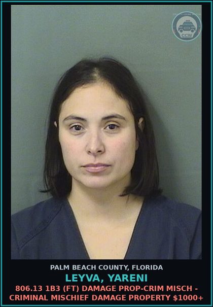 CCW arrest card for LEYVA, YARENI in Palm Beach County: 806.13 1B3 (FT) DAMAGE PROP-CRIM MISCH - CRIMINAL MISCHIEF DAMAGE PROPERTY $1000+