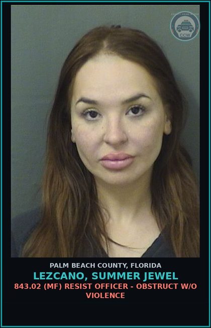 CCW arrest card for LEZCANO, SUMMER JEWEL in Palm Beach County: 810.09 2I1 (FT) TRESPASSING - TRESPASS OPERATIONAL AREA OF AIRPORT
