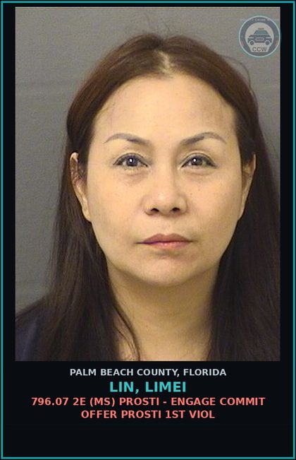 CCW arrest card for LIN, LIMEI in Palm Beach County: 456.065 2D1 (FT) HEALTH-SAFETY - PRACTICE W/O LIC OR W SUSP RVKD VOID LIC