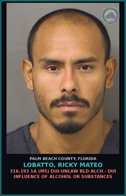 CCW arrest card for LOBATTO, RICKY MATEO in Palm Beach County: 316.193 1A (MS) DUI-UNLAW BLD ALCH - DUI INFLUENCE OF ALCOHOL OR DRUGS