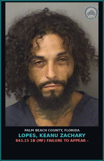 CCW arrest card for LOPES, KEANU ZACHARY in Palm Beach County: 843.15 1B (MF) FAILURE TO APPEAR -