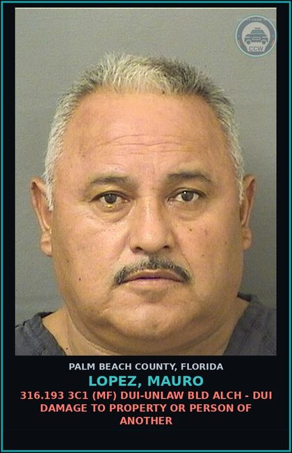 CCW arrest card for LOPEZ, MAURO in Palm Beach County: 316.193 3C1 (MF) DUI-UNLAW BLD ALCH - DUI DAMAGE TO PROPERTY OR PERSON OF ANOTHER